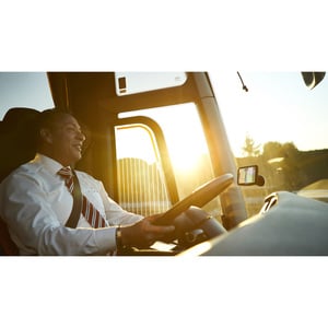 TomTom GO PROFESSIONAL 620 Automobile Portable GPS Navigator - Mountable - 15.2 cm (6") - Touchscreen - Microphone, Speed 