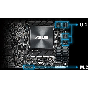 Asus WS C621E SAGE Workstation Motherboard - Intel C621 Chipset - Socket P LGA-3647 - SSI EEB - 768 GB DDR4 SDRAM Maximum 