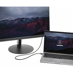 StarTech.com 6ft/1.8m USB C to DisplayPort 1.2 Cable 4K 60Hz - USB Type-C to DP Video Adapter Monitor Cable HBR2 - TB3 Com