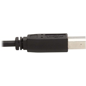 Eaton Tripp Lite Series Dual DVI KVM Cable Kit - DVI, USB, 3.5 mm Audio (3xM/3xM) + DVI (M/M), 10 ft. (3.05 m) - 10 ft KVM