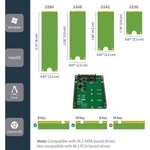 StarTech.com M.2 to SATA Adapter - TAA Compliant - 1 x SSD Supported - 1 x Total Bay - Steel