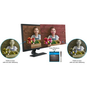 BenQ GL2480 61 cm (24 Zoll) Full HD LCD-Monitor - 16:9 Format - Schwarz - 609,60 mm Class - Twisted Nematic (TN) - LED Hin
