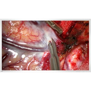 EIZO CuratOR EX5841 58" Class 4K UHD LCD Monitor - 16:9 - White - 57.5" Viewable - LED Backlight - 3840 x 2160 - 1.07 Bill