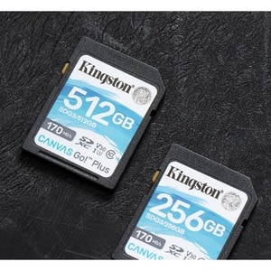 Kingston Canvas Go! Plus SDG3 256 GB Class 10/UHS-I (U3) SDXC - 1 Pack - 170 MB/s Read - 90 MB/s Write