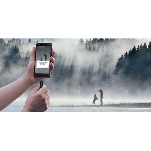 SanDisk Ultra Dual Drive Go USB Type-C - 32 GB - USB 3.1 Type C, USB Type A - 150 MB/s Read Speed - Black