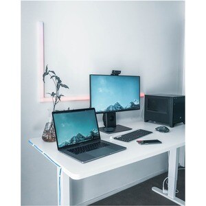 StarTech.com 100 Pk (L) Cable Clips w/ Nail - Reusable Nail-in Clamps - Cord Mounting/Holding Clips - Cable Tacks Wire Fas