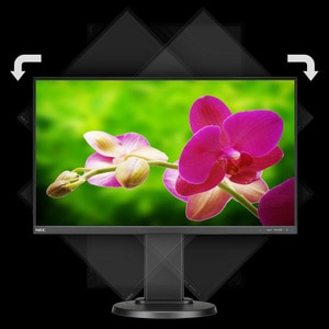 Monitor LCD NEC Display MultiSync E242N 609,6 mm (24,0") Class Full HD - 16:9 - Nero - 61 cm (24") Viewable - Tecnologia I