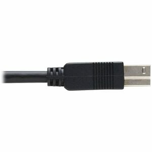 Eaton Tripp Lite Series USB 3.2 Gen 1 Plenum-Rated Fiber Active Optical Cable (AOC) - 5 Gbps, (A to B M/M), Black, 30 m - 
