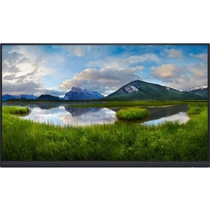 DELL 24 MONITOR - P2422H 60.5CM (23.8)