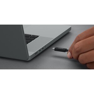 Belkin Connect 2.01 m Thunderbolt 4 Data Transfer Cable - Cable for Smartphone, Tablet, Hard Drive, Notebook, Docking Stat