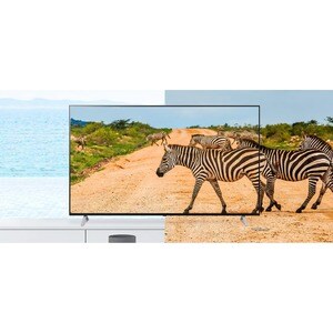 LG UR760H 55UR760H9UA 55" Smart LED-LCD TV - 4K UHDTV - Navy Blue - HDR10 Pro, HLG - Direct LED Backlight - Netflix - 3840
