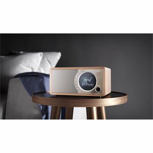 Sharp Desktop Uhrenradio - Mono - DAB, DAB+, FM - Lautsprecher