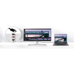 LG Ultrawide 29WQ600-W 29" Class UW-UXGA Gaming LCD Monitor - 21:9 - 73.7 cm (29") Viewable - In-plane Switching (IPS) Tec