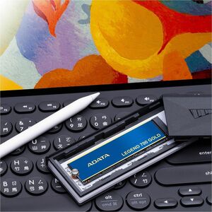 Adata LEGEND 700 GOLD 1 TB Solid State Drive - M.2 2280 Internal - PCI Express NVMe (PCI Express NVMe 3.0 x4) - Desktop PC