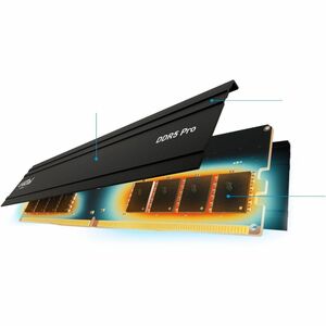Micron Pro 64GB (2 x 32GB) DDR5 SDRAM Memory Kit - For Desktop PC - 64 GB (2 x 32GB) - DDR5-5600/PC5-44800 DDR5 SDRAM - 56