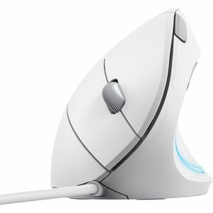 Trust Verto Maus - USB 2.0 - Optisch - 6 Taste(n) - Weiß - Kabel - 1600 dpi Auflösung - Scroll-Rad - Groß Hand-/Handfläche