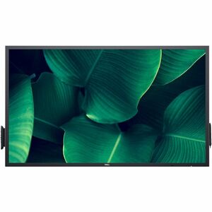 Dell P5524QT 4K UHD LCD Collaboration Display - InGlass - Touchscreen - 16:9 Seitenverhältnis - 3840 x 2160 - LED - 350 cd