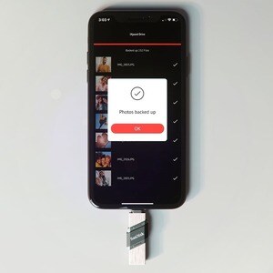 SanDisk iXpand 64 GB USB 3.1 (Gen 1) Type A Flash Drive - 2 Year Warranty