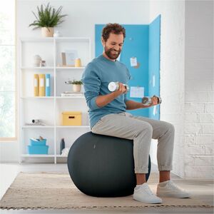 Leitz Exercise Ball - Velvet Gray - Fabric