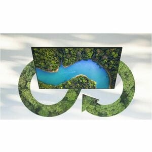 Samsung QB55C Digital Signage Display - 54.5" LCD - 24 Hours/7 Days Operation - 350 cd/m² - HDMI - USB - Serial - Wireless