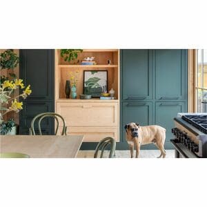 Arlo Essentials 4 Megapixel Indoor 2K Network Camera - Colour - White - Colour Night Vision - 2560 x 1440 - Wi-Fi - Wall M