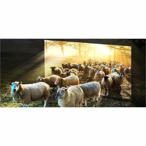 Samsung QN900D QN75QN900DF 74.5" Smart LED-LCD TV - 8K UHD - High Dynamic Range (HDR) - Black - HDR10+, HLG, Neo Quantum H