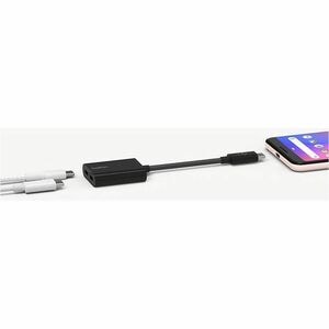 Belkin RockStar Audio-Adapter - 2 x USB Type C - Female - Weiß