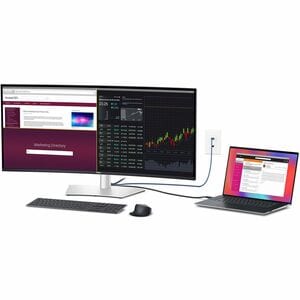 Dell UltraSharp U4025QW 40 Zoll Class 5K2K WUHD Gekrümmter Bildschirm LED-Monitor - 21:9 Format - Schwarz, Silber - 100,8 