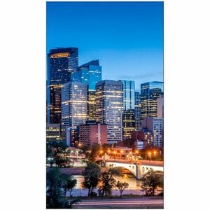 Samsung VM55C-E 1397 mm LCD Digital Signage Display - 24 Hours/7 Days Operation - In-plane Switching (IPS) Technology - 19