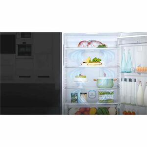 Congelatore/Freezer LG GTF744PZPED 509 L Montaggio superiore - Installazione libera - Platinum silver, Acciaio inox - Acci