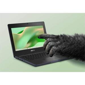 Chromebook - Asus Chromebook CR11 CR1104CGA-N00093 Durci - Écran 29,5 cm (11,6") - HD - Intel N-Série N200 - 8 Go - 128 Go