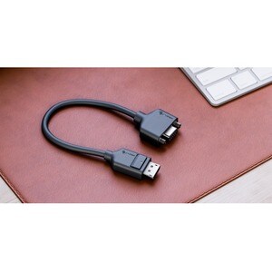 Alogic Elements 20 cm DisplayPort/VGA Videokabel - Cable for Videogerät