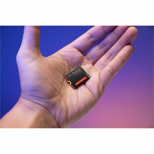 WD Black SN770M WDS200T3X0G 2 TB Solid State Drive - M.2 2230 Internal - PCI Express NVMe (PCI Express NVMe 4.0 x4) - Note