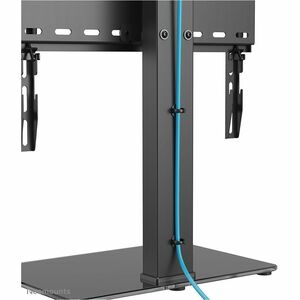 Neomounts Height Adjustable TV Stand - 81.3 cm (32") to 139.7 cm (55") Screen Support - 40 kg Load Capacity - 70.5 cm Heig