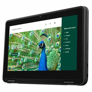 Dell Chromebook 3000 3120 11.6" Touchscreen Clamshell Chromebook - HD - Intel N-Series N100 - 4 GB - 64 GB Flash Memory - 