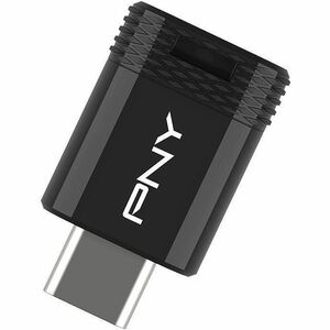 Lecteur flash PNY Elite-X Fit - 256 Go - USB 3.2 (Gen 1) Type C - 200 Mo/s Read Speed - 100 Mo/s Write Speed