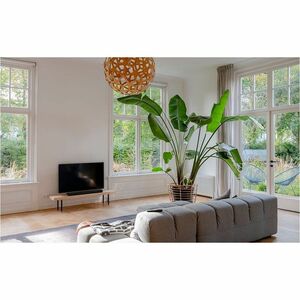 Harman Kardon Enchant Bluetooth Sound Bar Speaker - 195 W RMS - Wall Mountable - 60 Hz to 20 kHz - Dolby Atmos, 3D Surroun