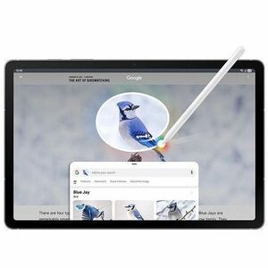 Samsung Galaxy Tab S10 FE+ SM-X620 Tablet - 13.1" WQXGA+ - Samsung Exynos 1580 (4 nm) Octa-core - 12 GB - 256 GB Storage -