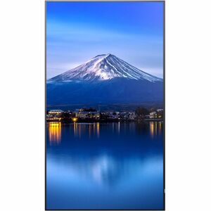 Sharp NEC Display MultiSync P556 1386,84 mm LCD Digital-Signage-Display - 24 Stunden/7 Tage Betrieb - Energy Star - IPS-Te