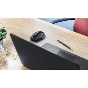 Souris Trust Voca - USB 2.0 - Optique - 6 Bouton(s) - Noir - Câble - 2400 dpi - Roulettes avec frein - Droitier