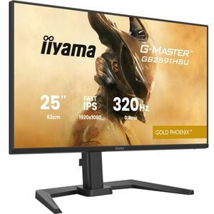 Moniteur de jeu LCD iiyama Gold Phoenix G-MASTER GB2591HSU-B1 25" Classe Full HD - 16:9 - Noir mat - 62,2 cm (24,5") Viewa