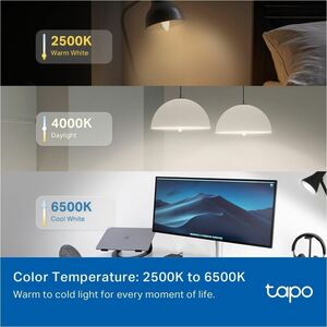 Tapo L430C LED-Glühlampe - 40 W - 40 W Glühbirnenähnliche Wattleistung - 240 V AC, 220 V AC - 470 lm - B38 Größe - Mehrfär