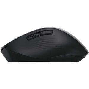 Souris Trust Niven Taille moyenne - Bluetooth/Radio Fréquence - USB 2.0 Type C - Optique - 7 Bouton(s) - Noir - Sans fil -