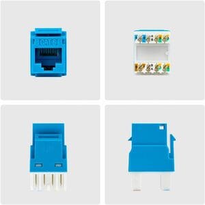 StarTech.com Gold Plated Network Connector - 24 - 1 x RJ-45 Network - Blue