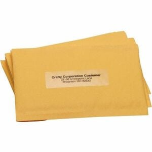 Seiko Clear Address Labels - Perfect for Address Labels on Envelopes, Office Mailings, Invitations, Christmas Cards and more.