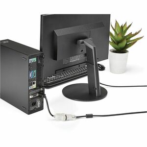 StarTech.com DisplayPort to DVI Adapter, DisplayPort to DVI-D Adapter/Video Converter 1080p, DP 1.2 to DVI Monitor, Latchi