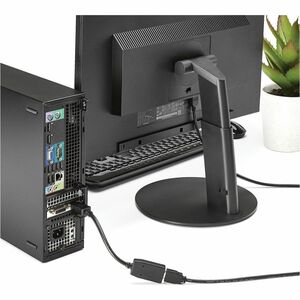 StarTech.com Adattatore da DisplayPort a HDMI 1080p Passivo - Convertitore Video da DP a HDMI per Monitor/Display - Certif
