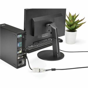 StarTech.com DisplayPort to DVI Adapter, DisplayPort to DVI-D Adapter/Video Converter 1080p, DP 1.2 to DVI Monitor, Latchi