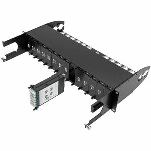 Tripp Lite 12-Fiber Patch Panel 2 MTP/MPO to 12 LC 10Gb Breakout Cassette - 2 x MTP/MPO, 12 x LC - 14 Port(s) - 14 x RJ-11