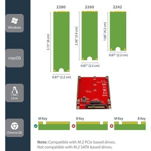 StarTech.com Adaptateur disque dur M.2 vers U.2 pour SSD M.2 PCIe NVMe - SFF-8639 - Carte PCI Express M.2